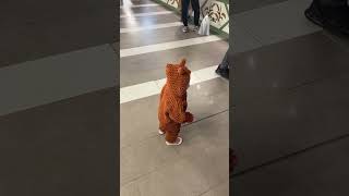 Puffy Fine Tulum Örgüsü Ğen