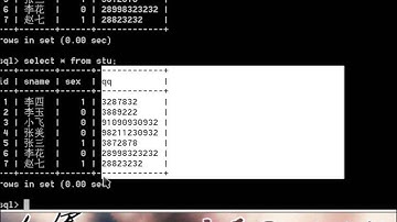 4_MYSQL视频教程 SELECT查询 like模糊查询 as 别名定义规则 逻辑运算符