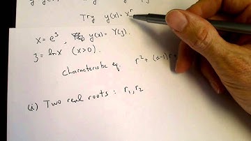 Euler equation
