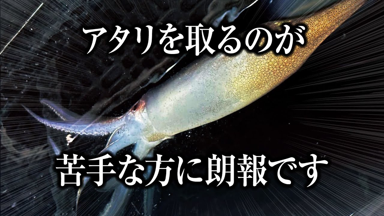 【イカメタル】釣果の差が理解できる誘いのテクニック｜ガッ釣り関西254