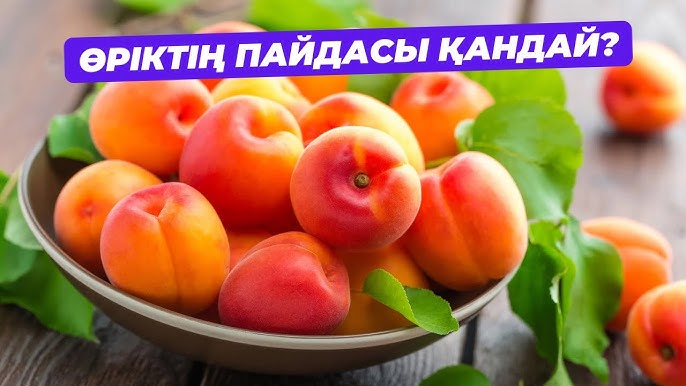 Толық жас брюнеткамен жыныстық қатынас Видео порно зур