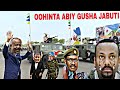 DEG DEG DAGALKA CULIS O HADA KA SOCDO DDS OROMO O DHIMASHO IYO DHAWAC BADAN JIIDATAU XOG CULUS DEG DEG DAGALKA CULIS O HADA KA SOCDO DDS OROMO O DHIMASHO IYO DHAWAC BADAN JIIDATAU XOG CULUS