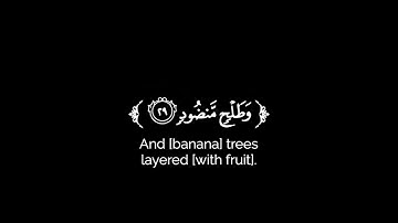 كروما شاشة سوداء قرآن كريم 🌿تلاوة من سورة الواقعة 🌿القارئ رزكار الكردي 🌿