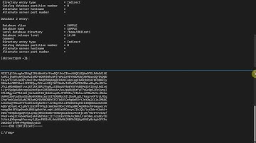 How to connect Oracle SQL Developer to Db2 database via TLS/SSL