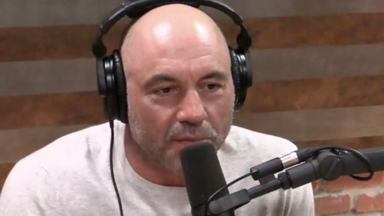 Joe Rogan & William Von Hippel - We Are Safer Than Ever