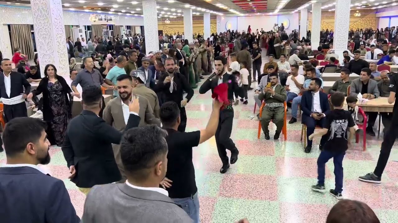 Shimal harki new dawat 2024 dawata nheliya(berchi) l sheladze شیمال هرکی داواتا نهێلیا شێلادزێ ٢٠٢٤