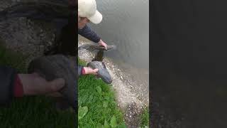 La pêche entre potes Dans les temps de damelevières à côté de blainville-sur-l'eau