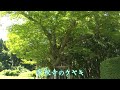 時を越え あきた~森の巨人と水の旅人~ 五城目町