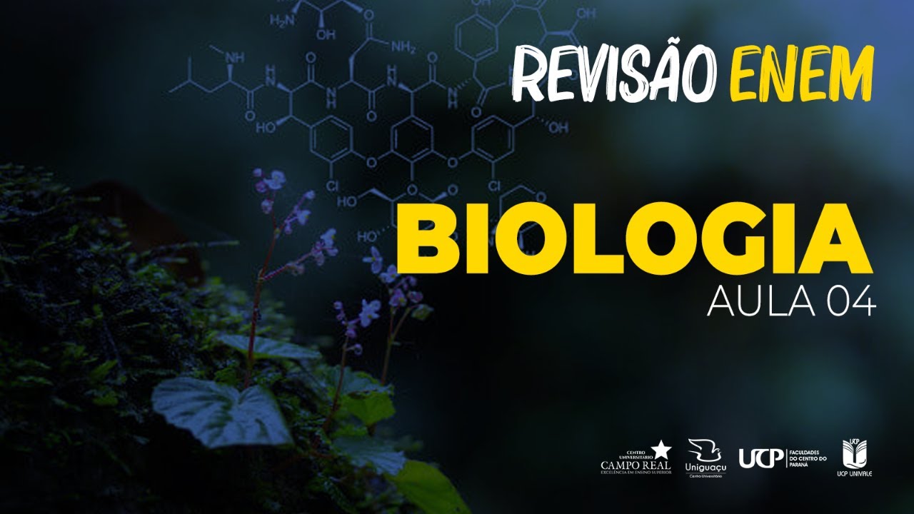 Revisão Enem – Biologia– Aula 04 Youtube