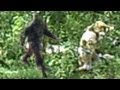 Australian big foot clear  scary