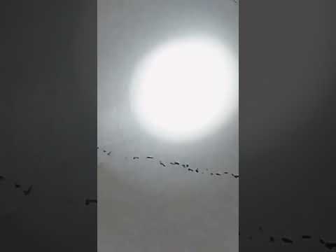 ١ نوفمبر ٢٠٢٤