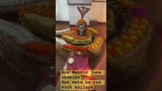 #ganeshji #bholenath #shivshakti #mahadev #minivlog #shorts #hindu #viral #khatuwalashyam #mohali