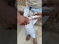 Desi Katta Desi Pistol Katta Pistol Reels Viral