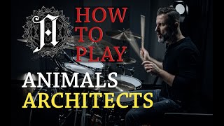 How To Play Animals from Architects On The Drums