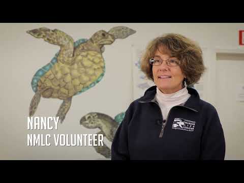 Come Volunteer with NMLC!