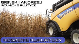 Koszenie kukurydzy u Andrzeja Ile ton z hektara sypało w Plutyczach u rolników z Podlasia