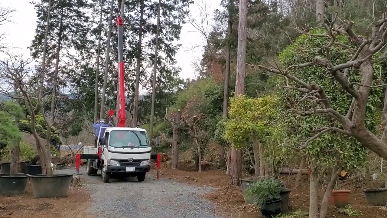 中木移植作業 重機移植（樹木移植機械工法）｜造園事業｜東武緑地株式会社