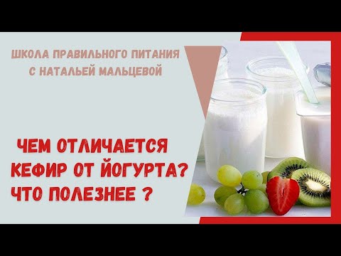 Видео: Разница между сыром и йогуртом