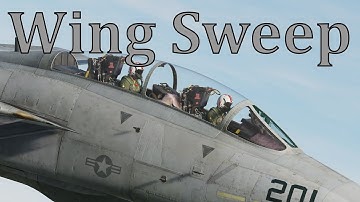 DCS F-14 Wings Sweep