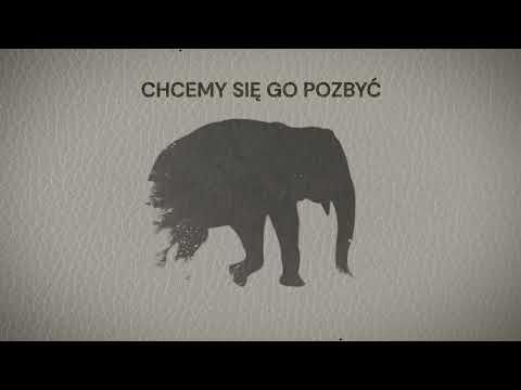 BURY - Elephant in the room | lyric video