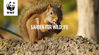 Garden For Wildlife - Episode 6: Edible Native Plants