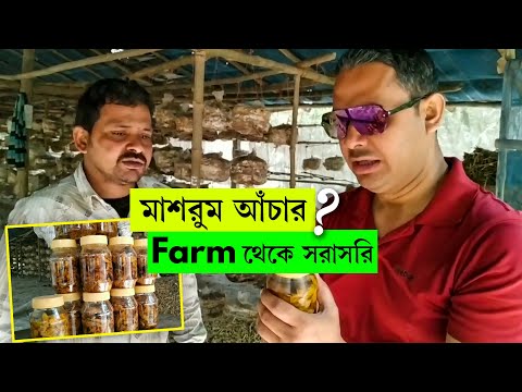 ভিডিও: বাড়িতে মাশরুম আচার কত সুস্বাদু এবং দ্রুত