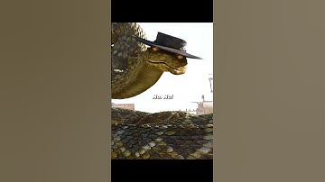 Rango | Rango