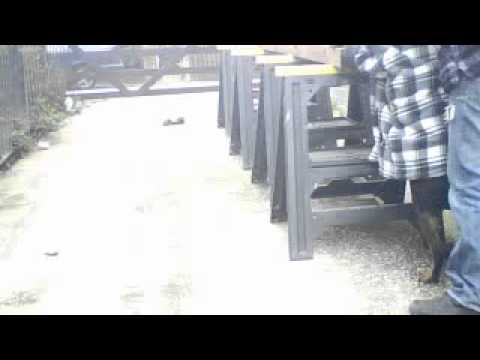 lea the rottweiler helping dad build new fence