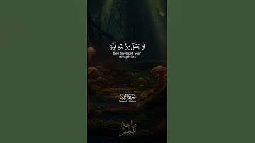 اللَّهُ الَّذِي خَلَقَكُم مِّن ضَعْفٍ... سورة الروم الشيخ محمد صديق المنشاوي