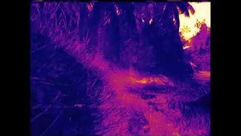 Mw3 Hardcore KC montage