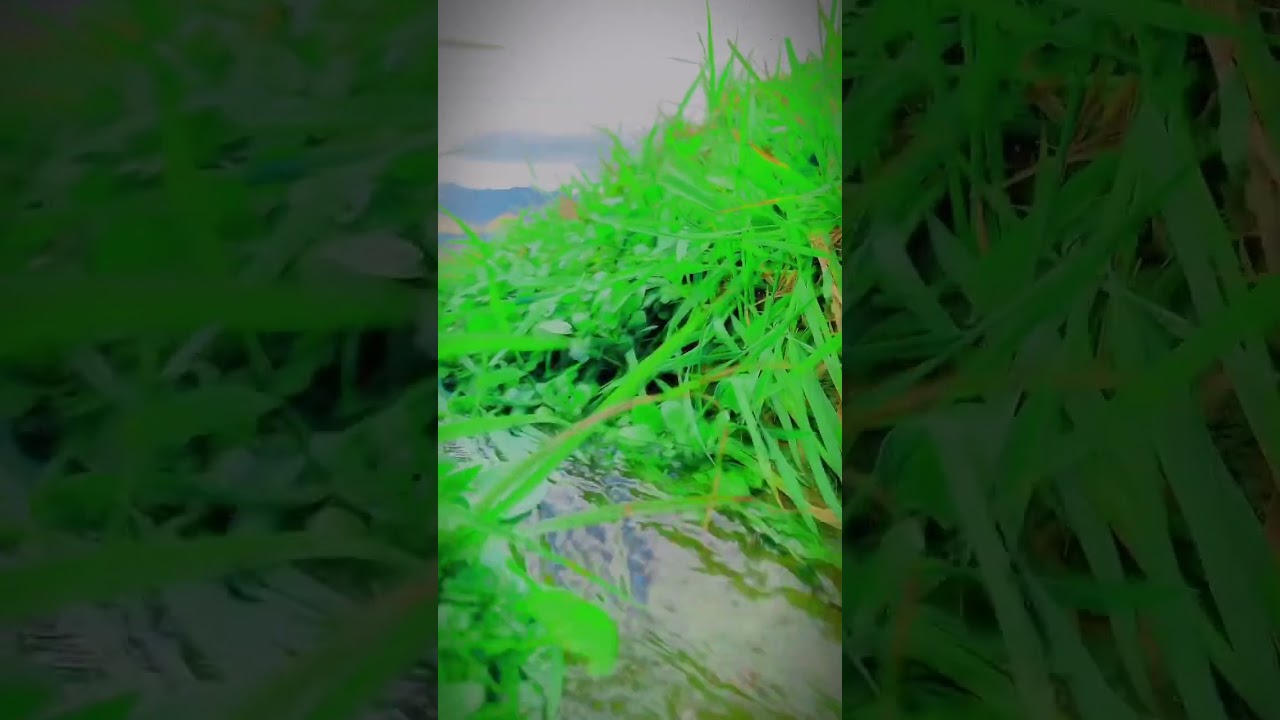 Cinematic shot of water 