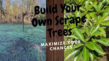 How to Build a Scrape Tree  l  Get Deer Closer  l  Deer Hunting