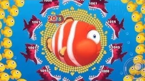 Fishdom 🐠Video [42.5] Hungry Fishs Gameplay | Ads Mini Games New Update 2025 