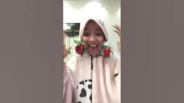 تدينى ورده اديلك ورده اكسبلور 
