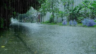 Get a Good Night's Sleep Instantly with Torrential Downpour Rain & Thunder | Relaxing Rain Sounds