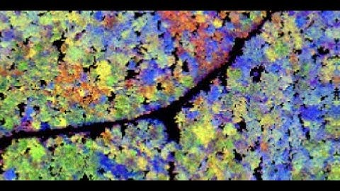 Foliar Traits & Ecosystem Function at Broad Spatial Scales using NEON and NASA Imaging Spectroscopy
