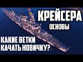 КАК ИГРАТЬ НА КРЕЙСЕРЕ - КАКУЮ ВЕТКУ КАЧАТЬ НОВИЧКУ? World of Warships