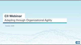 Adapting through Organizational Agility