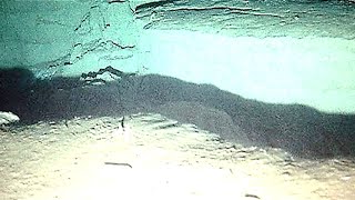 NOAA Scientists Accidentally Make A Surprising Discovery At The Bottom Of The Mariana Trench