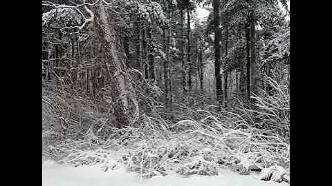 1st Day of Spring 2018