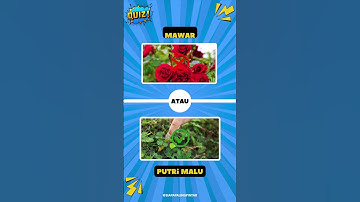 Kuis Pengetahuan umum Yakin Kamu Tahu Semua Ini? #quiz #kuistebakgambar#kuispengetahuanumum