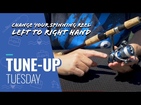 Fishing Tips] Switching Your Spinning Reel From Left to Right Hand Retrieve  - FAQs