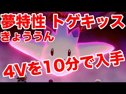 ポケモン ソード シールド トゲキッス