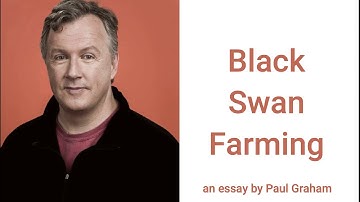 Black Swan Farming, an essay by Paul Graham