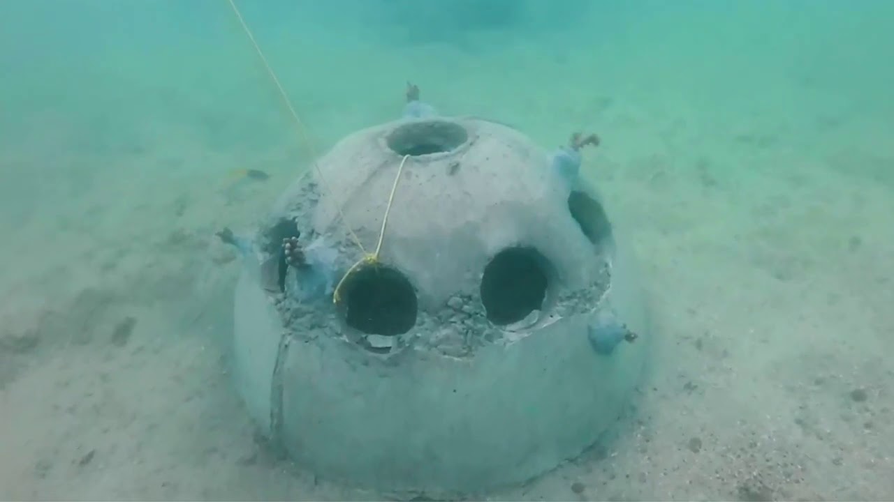 Jaffna Coral Reef Replanting