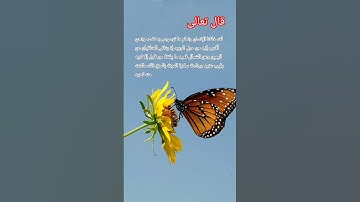 ايات بينات من سورة ق ✨