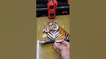 Painting with a 3D Printer: Tiger