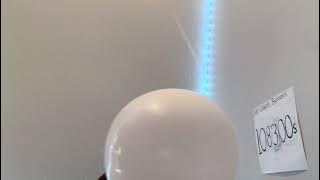 Balloon episode 🎈108331