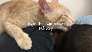 Cat Licks Daddy's Head #cat