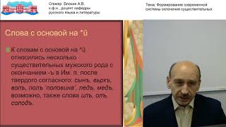 Блохин А.В. Видео-лекция «Формирование современной системы склонения существительных»